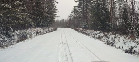 Прогулка на свежем воздухе