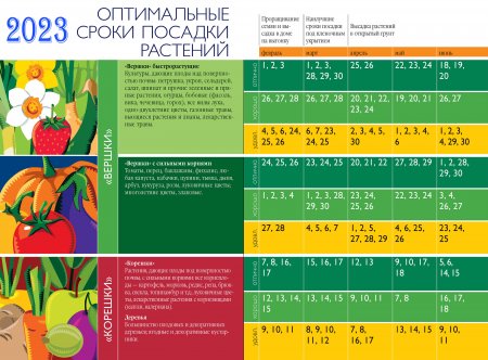 Благоприятные дни для посева семян и посадки растений в 2023 году