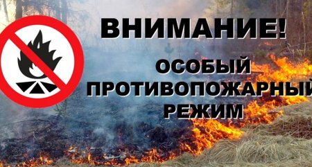 Об установлении особого противопожарного режима в УР
