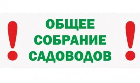 Собрание СНТ "Заря"